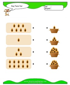 Kaç Tane Var Çalışma Sayfaları